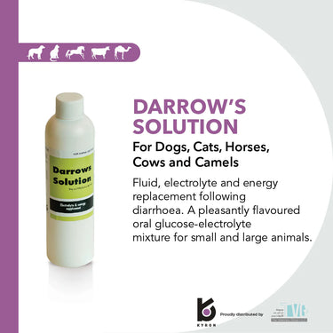 Darrows Solution 250ml